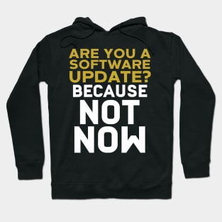 Are You A Software Update? Because Not Now Hoodie